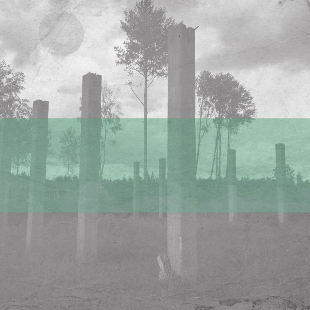 LISTEN: Shirokuma have a brand new 12'' LP