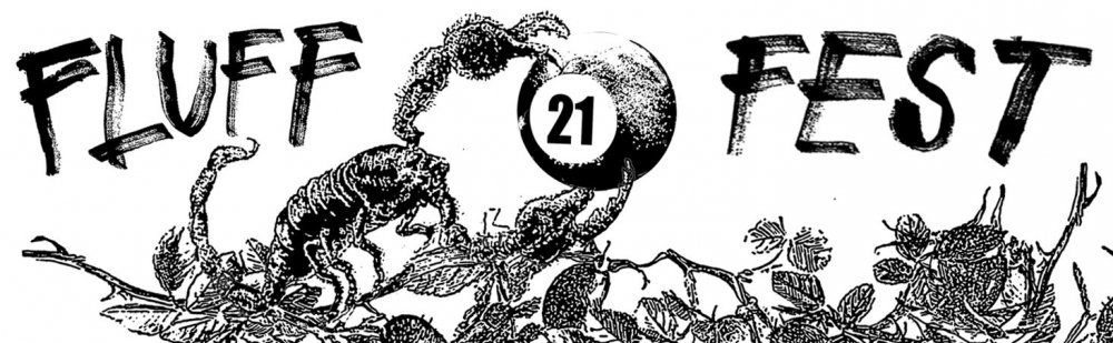 FLUFF FEST 2020: 2nd wave of bands