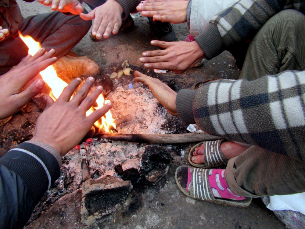 THANK YOU: Results of the Campaign "Support Refugees with Fluff Fest"